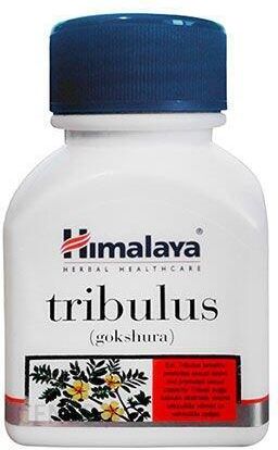 i-himalaya-tribulus-60kaps